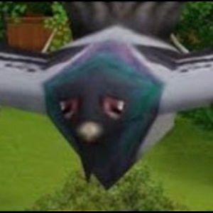 Meet your Posher, Kamahri